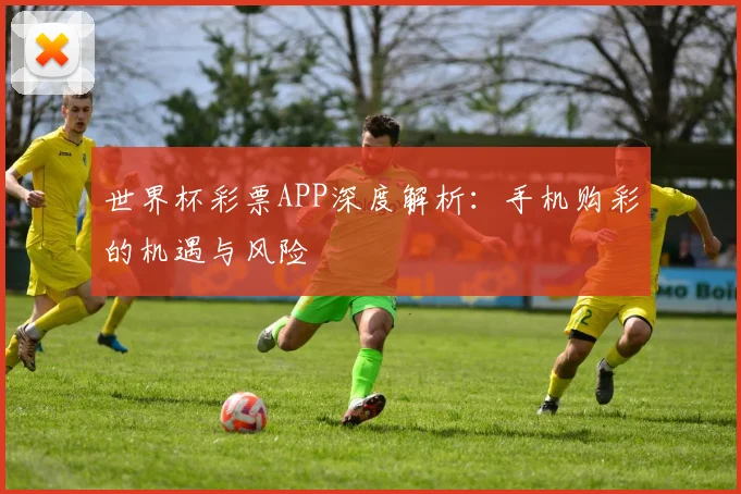 世界杯彩票APP深度解析：手机购彩的机遇与风险