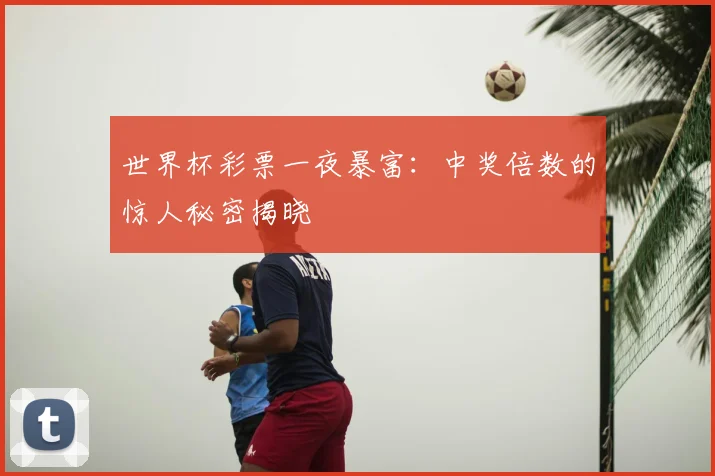 世界杯彩票一夜暴富：中奖倍数的惊人秘密揭晓