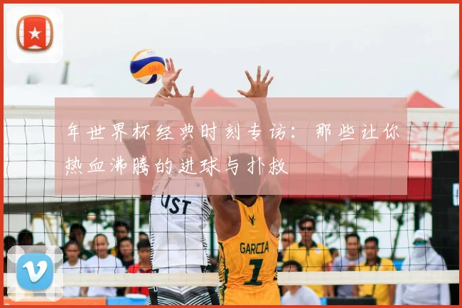 年世界杯经典时刻专访:那些让你热血沸腾的进球与扑救