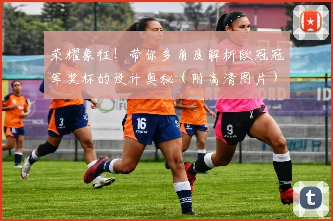 荣耀象征！带你多角度解析欧冠冠军奖杯的设计奥秘（附高清图片）