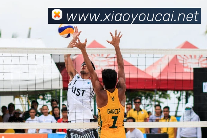 开云在线官网登录入口平台生态图