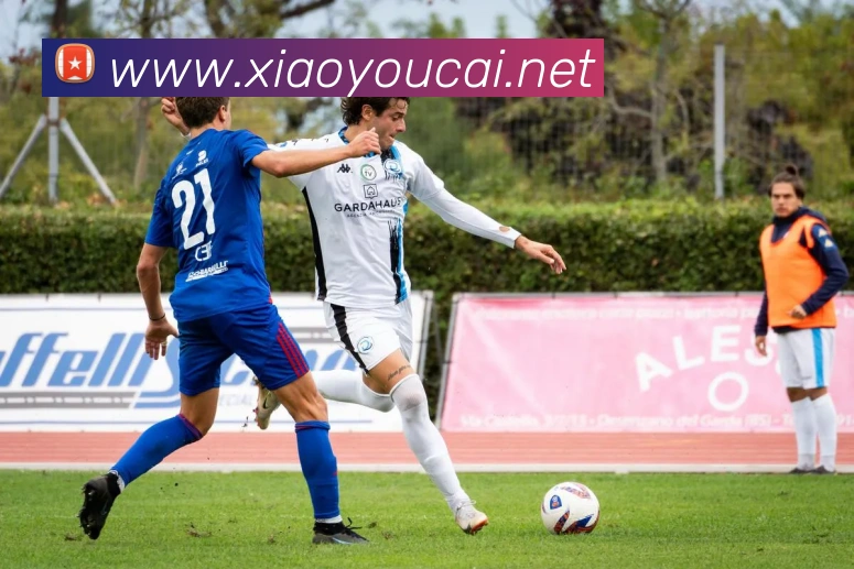 开云在线官网登录入口APP 封面图